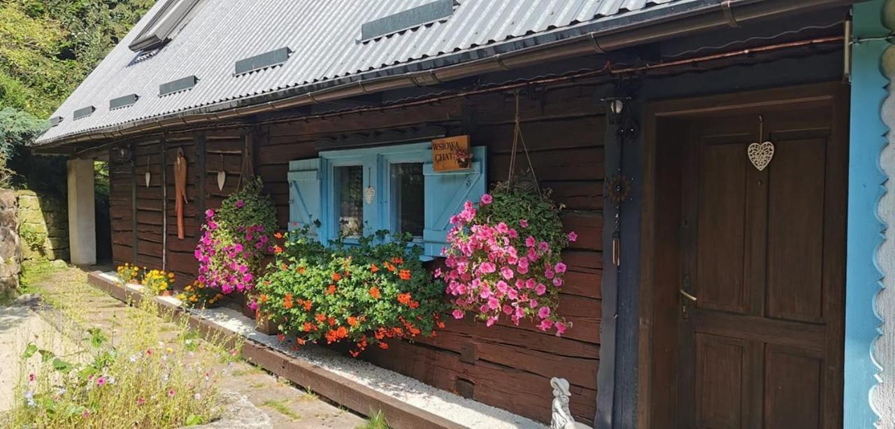 Wsiowa Chata Scinawka Gorna Dış mekan fotoğraf